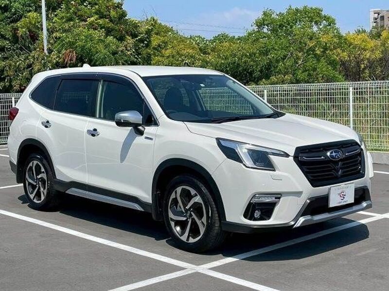 FORESTER