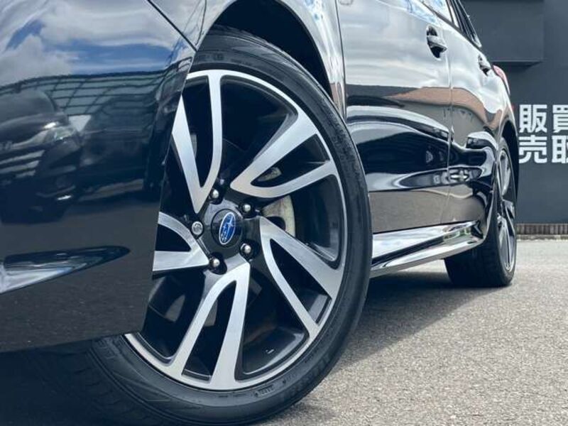 LEVORG