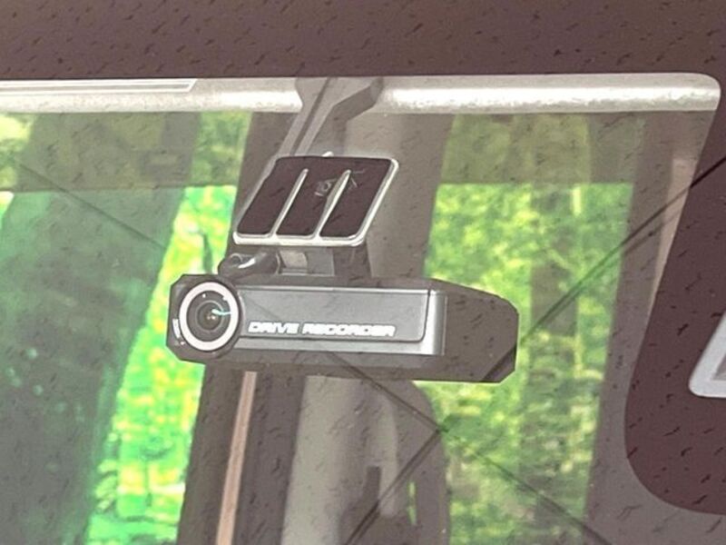 DAYZ ROOX
