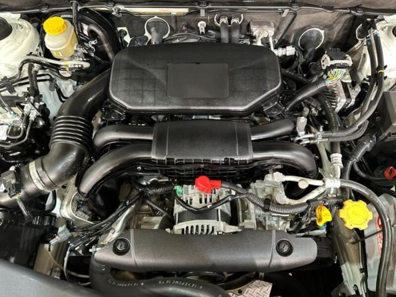 LEGACY B4