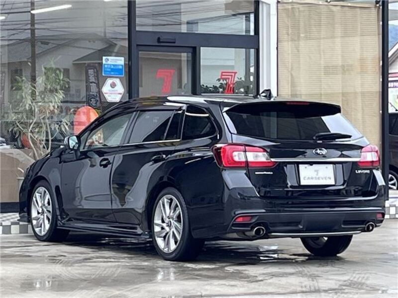 LEVORG