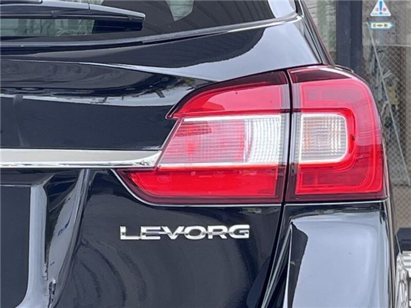 LEVORG