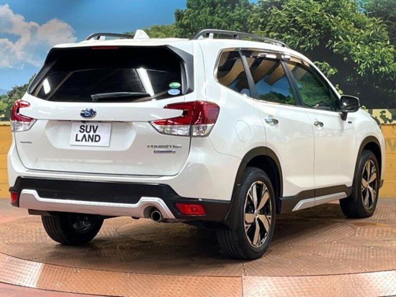 FORESTER
