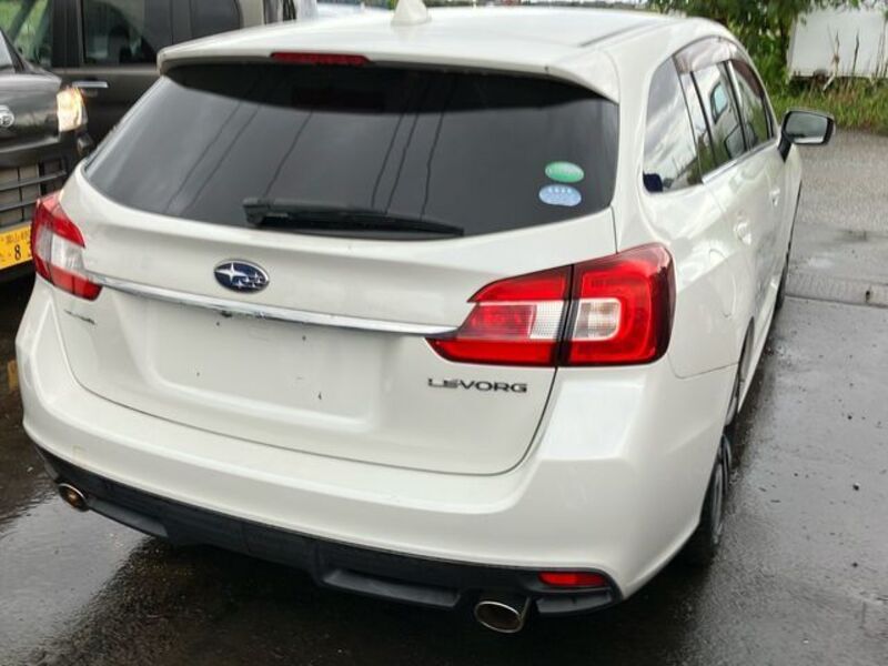 LEVORG
