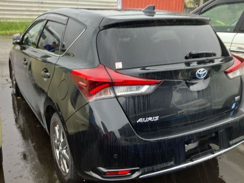 AURIS HYBRID