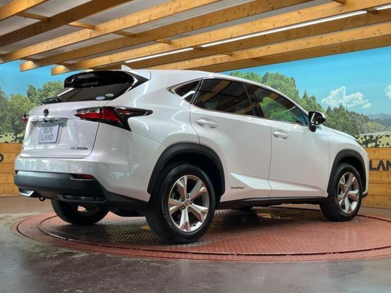 NX