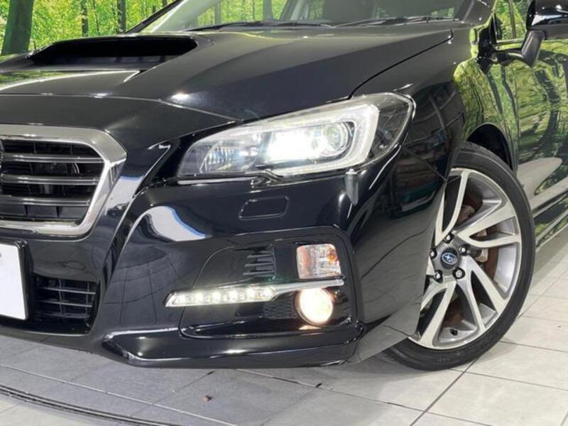 LEVORG