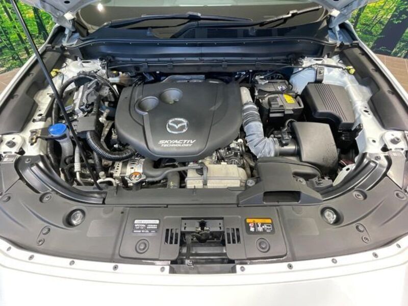 CX-8