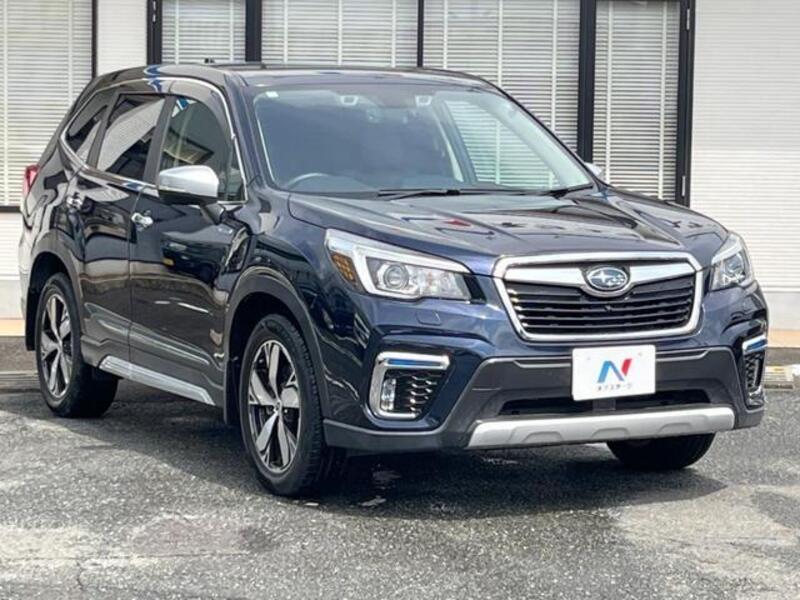 FORESTER