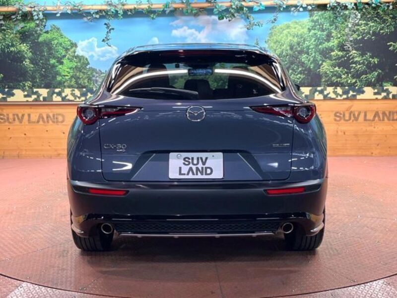 CX-30