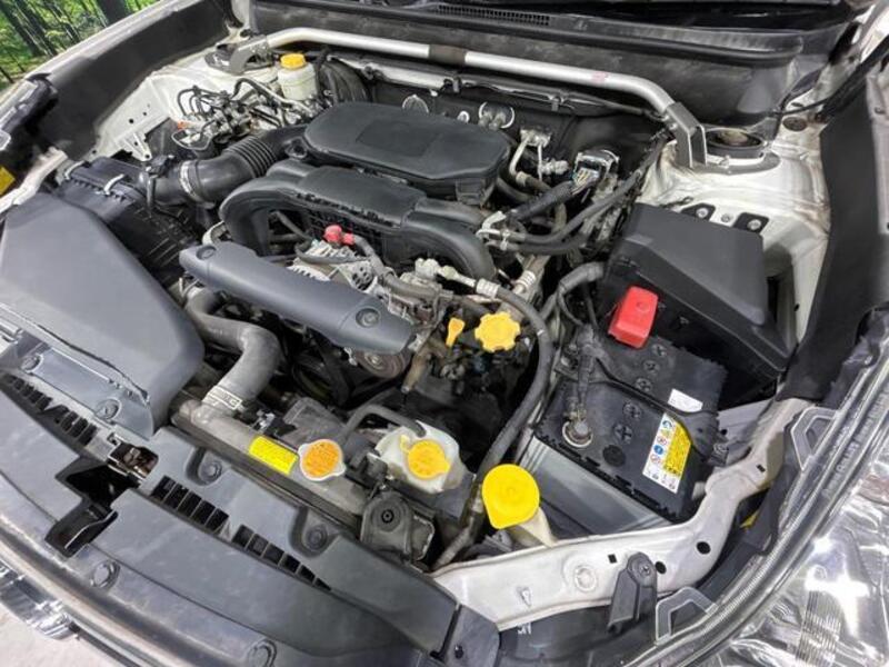 LEGACY OUTBACK