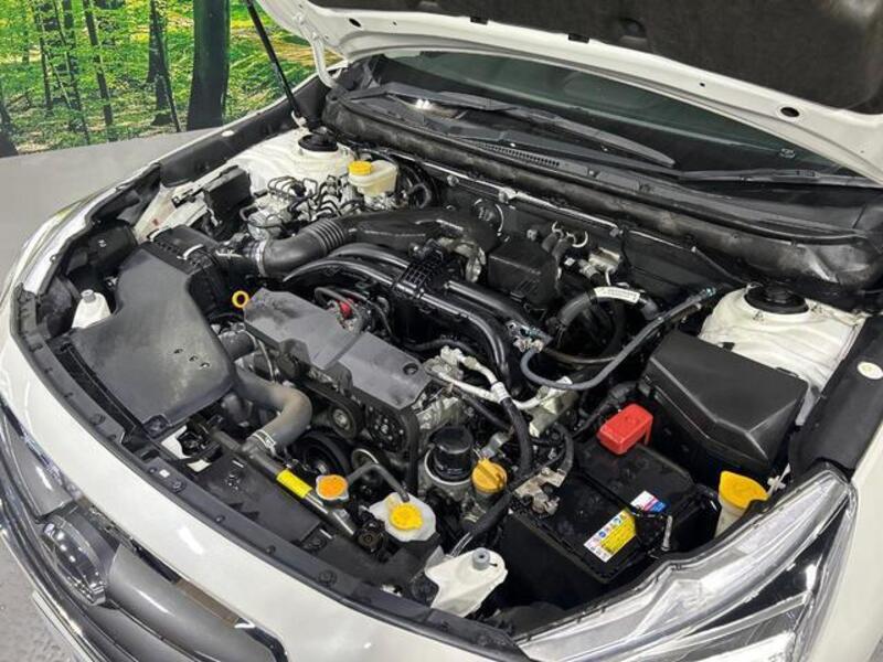 LEGACY B4