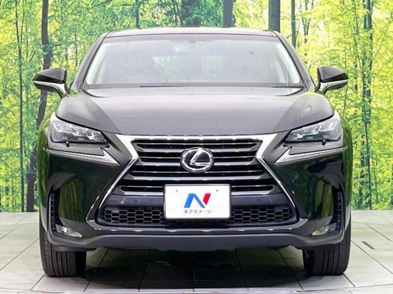 NX