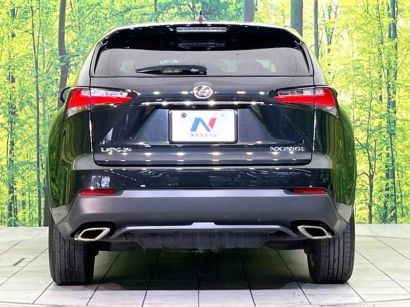 NX