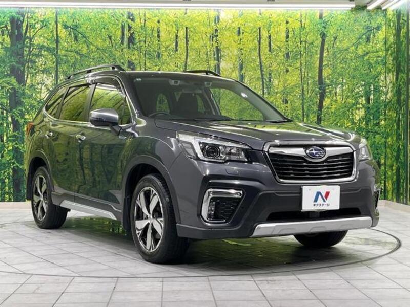 FORESTER