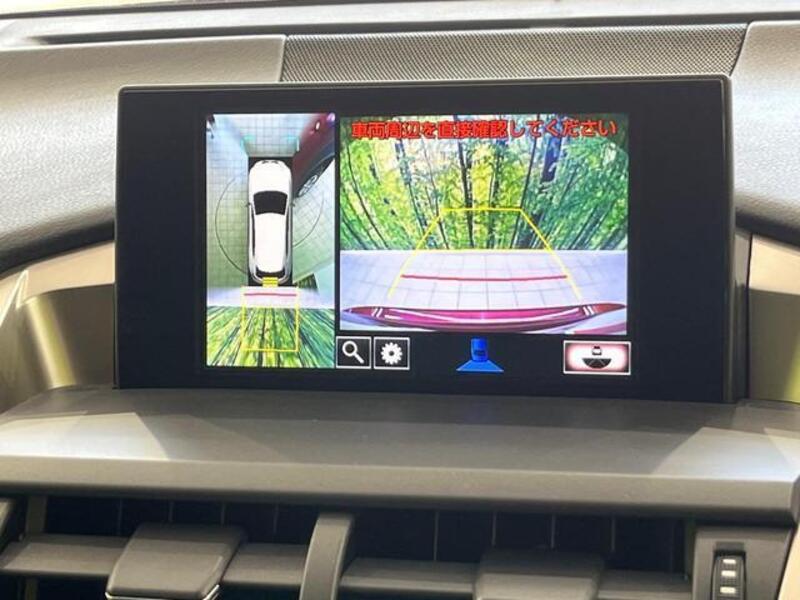 NX