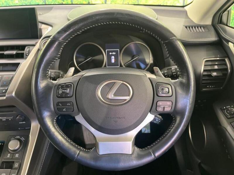 NX