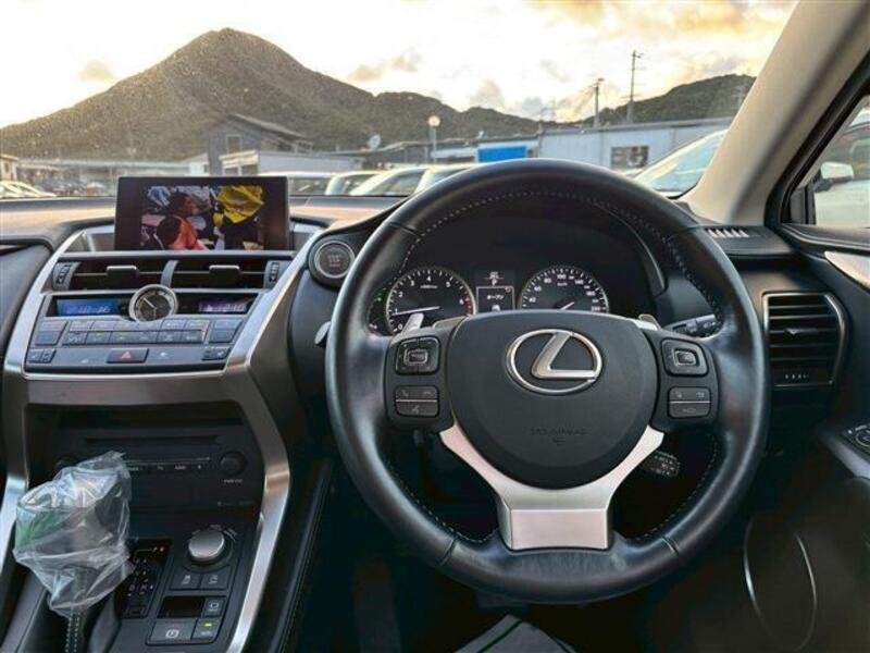 NX