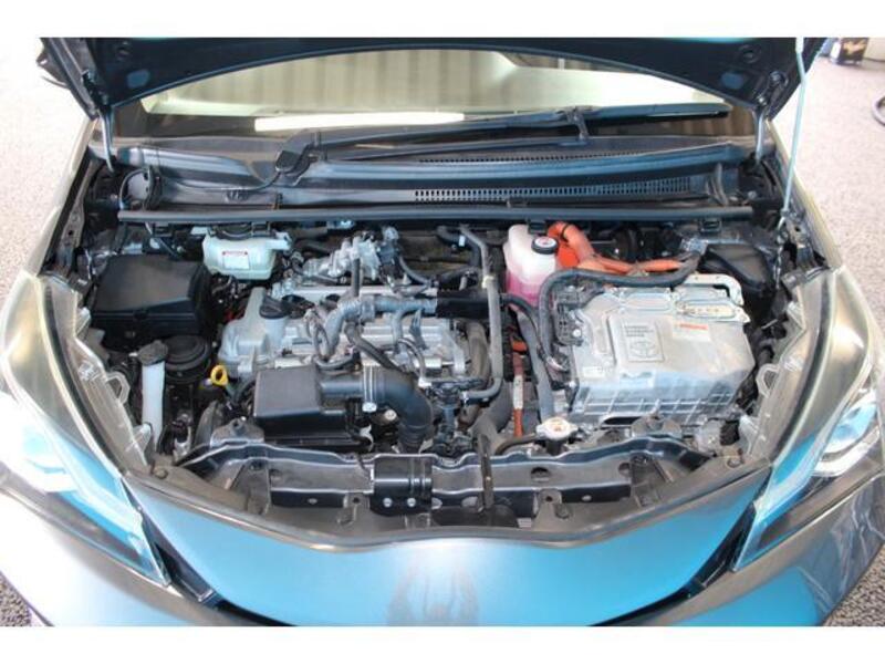 VITZ