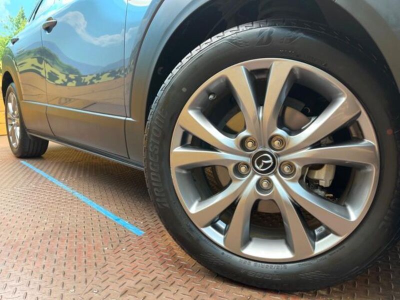 CX-30