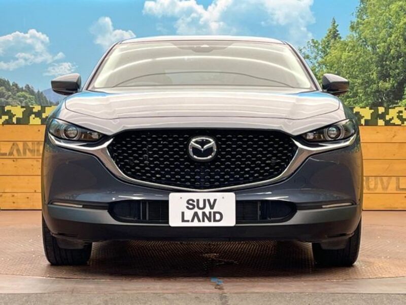 CX-30
