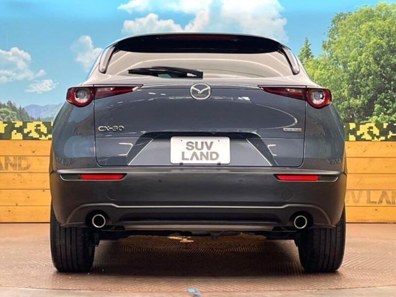 CX-30