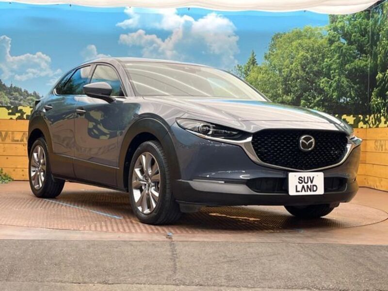 CX-30