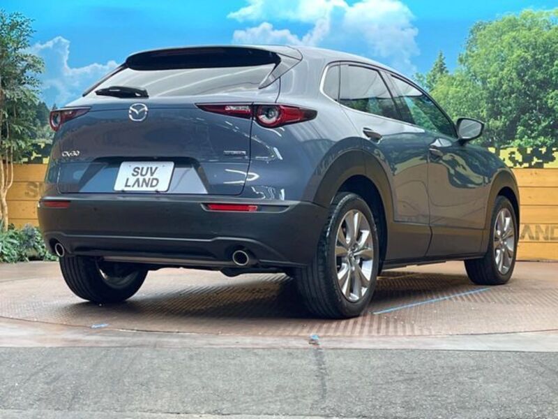 CX-30