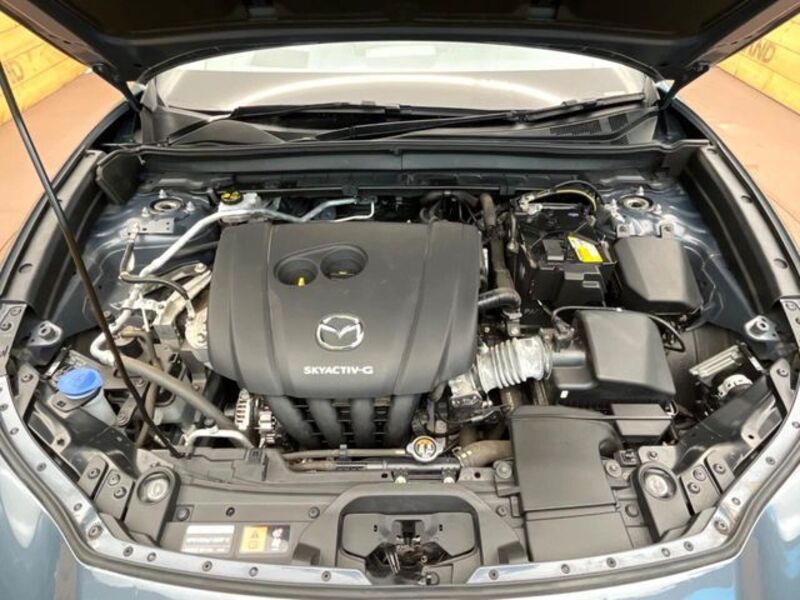 CX-30