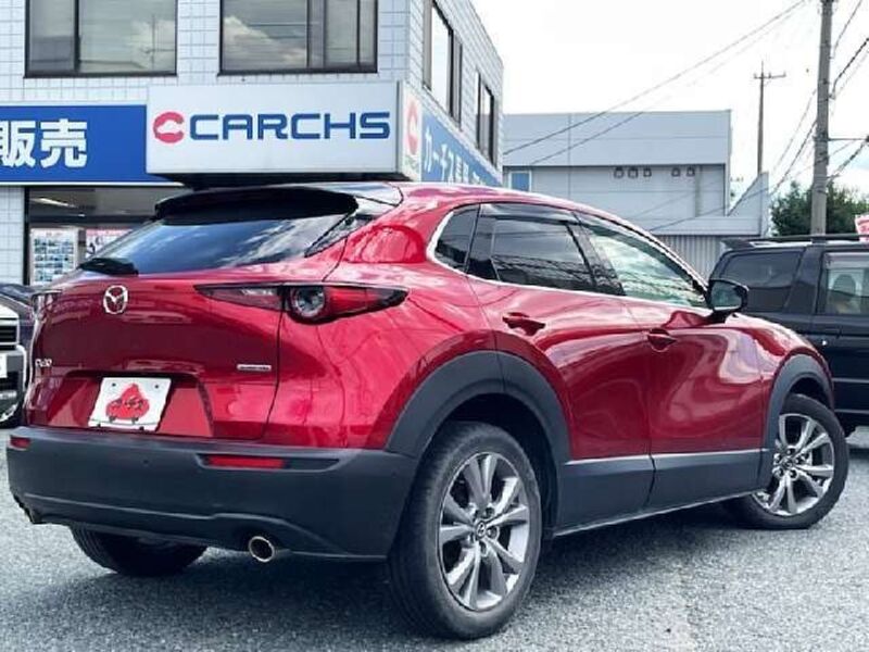 CX-30
