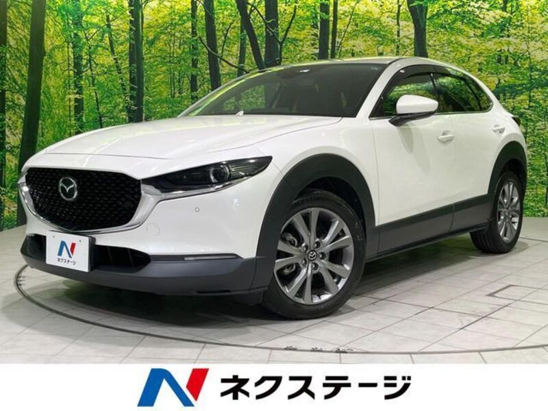 CX-30-0