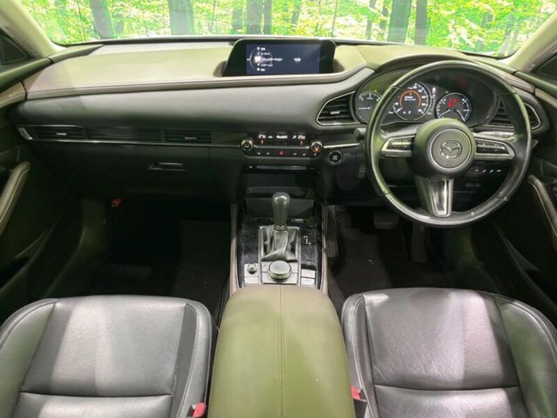 CX-30