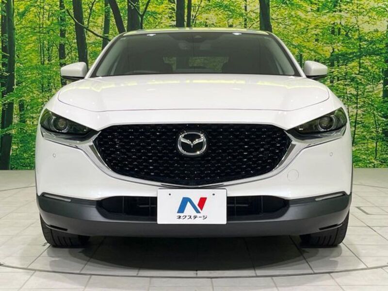 CX-30