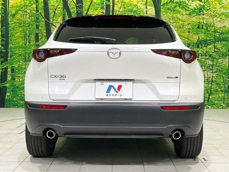 CX-30