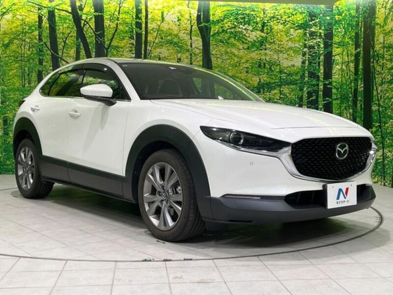 CX-30
