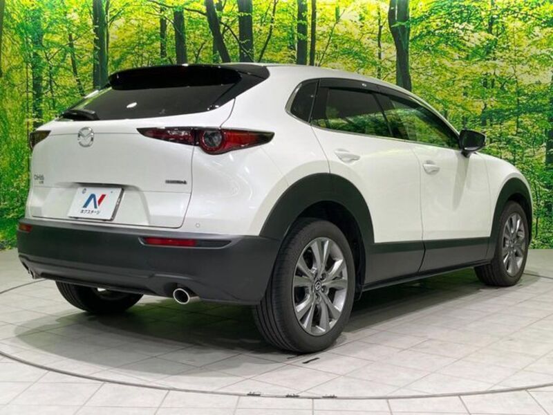 CX-30
