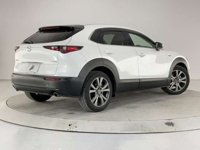 CX-30