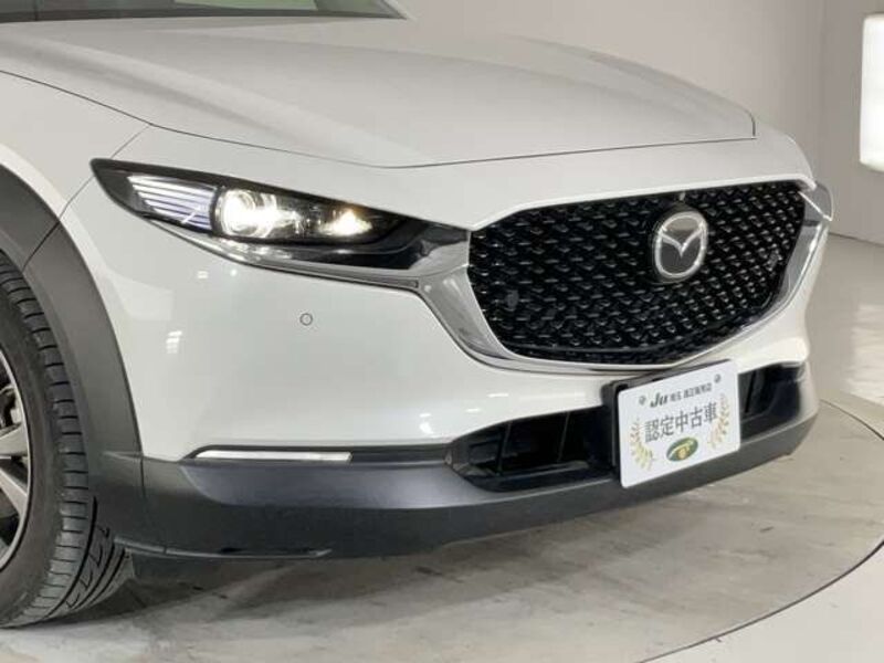 CX-30
