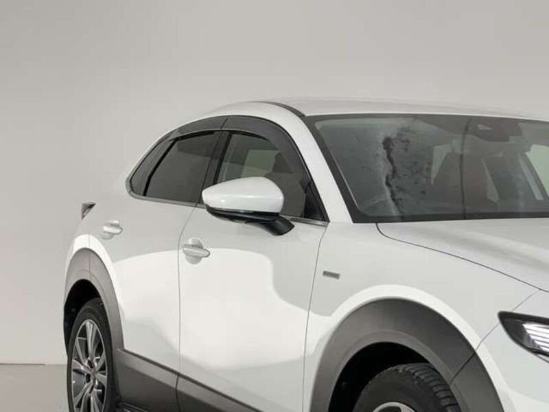 CX-30
