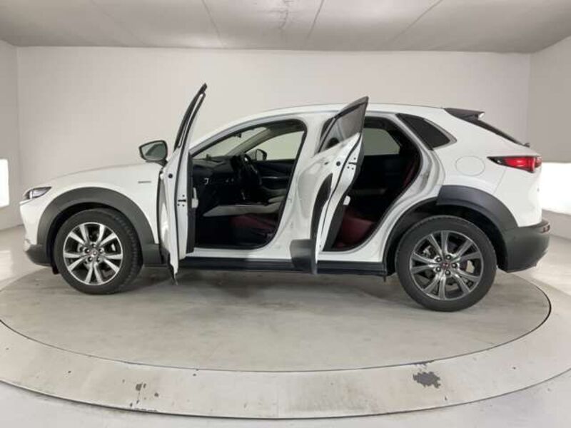 CX-30