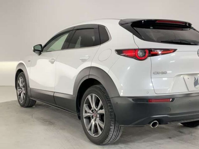 CX-30