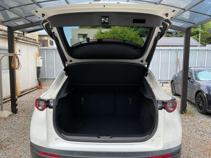 CX-30