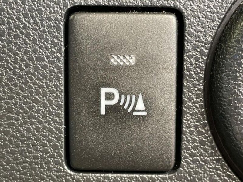 PLEO PLUS