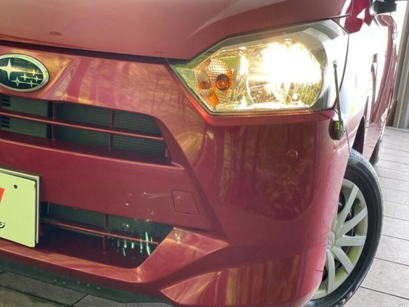 PLEO PLUS