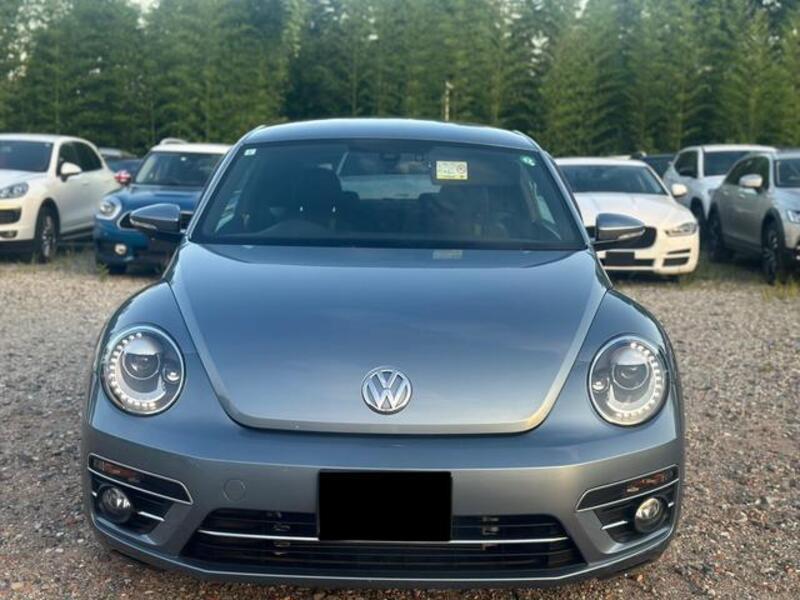 THE BEETLE