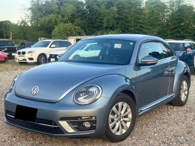 THE BEETLE
