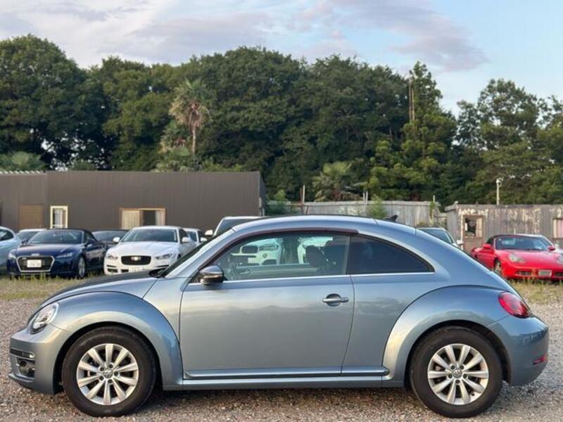 THE BEETLE