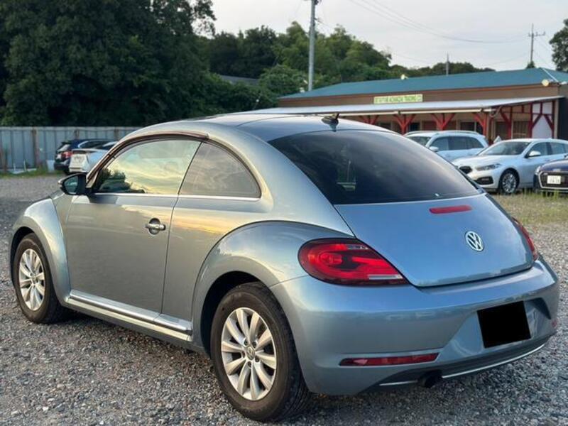 THE BEETLE
