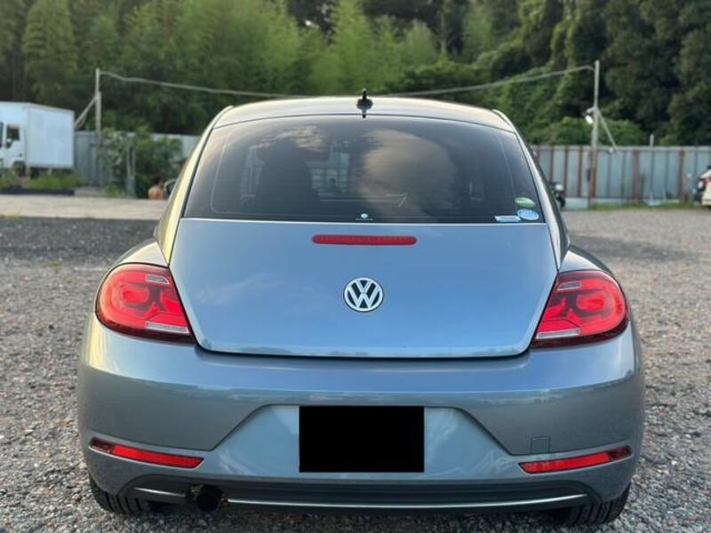 THE BEETLE