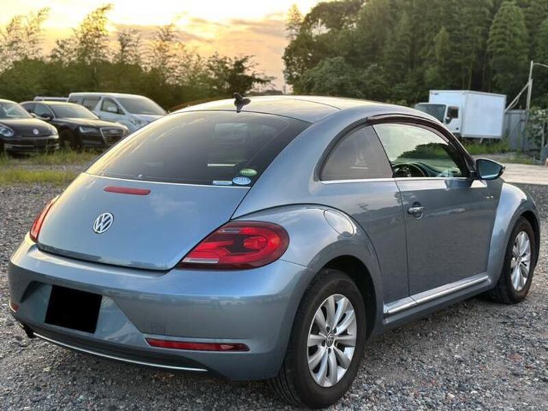 THE BEETLE